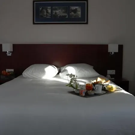 플레시스 파크 호텔 르 플레시-로뱅송